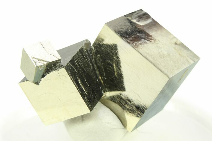 Shiny, Natural Pyrite Cube Cluster - Navajun, Spain #307081